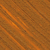 Image Orange chypre Williamsburg